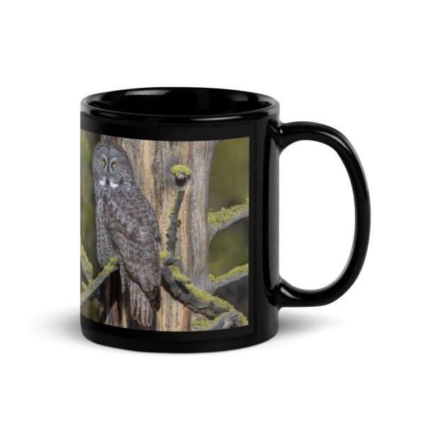 Great Grey Owl Basking in the Sun! Black Glossy Mug