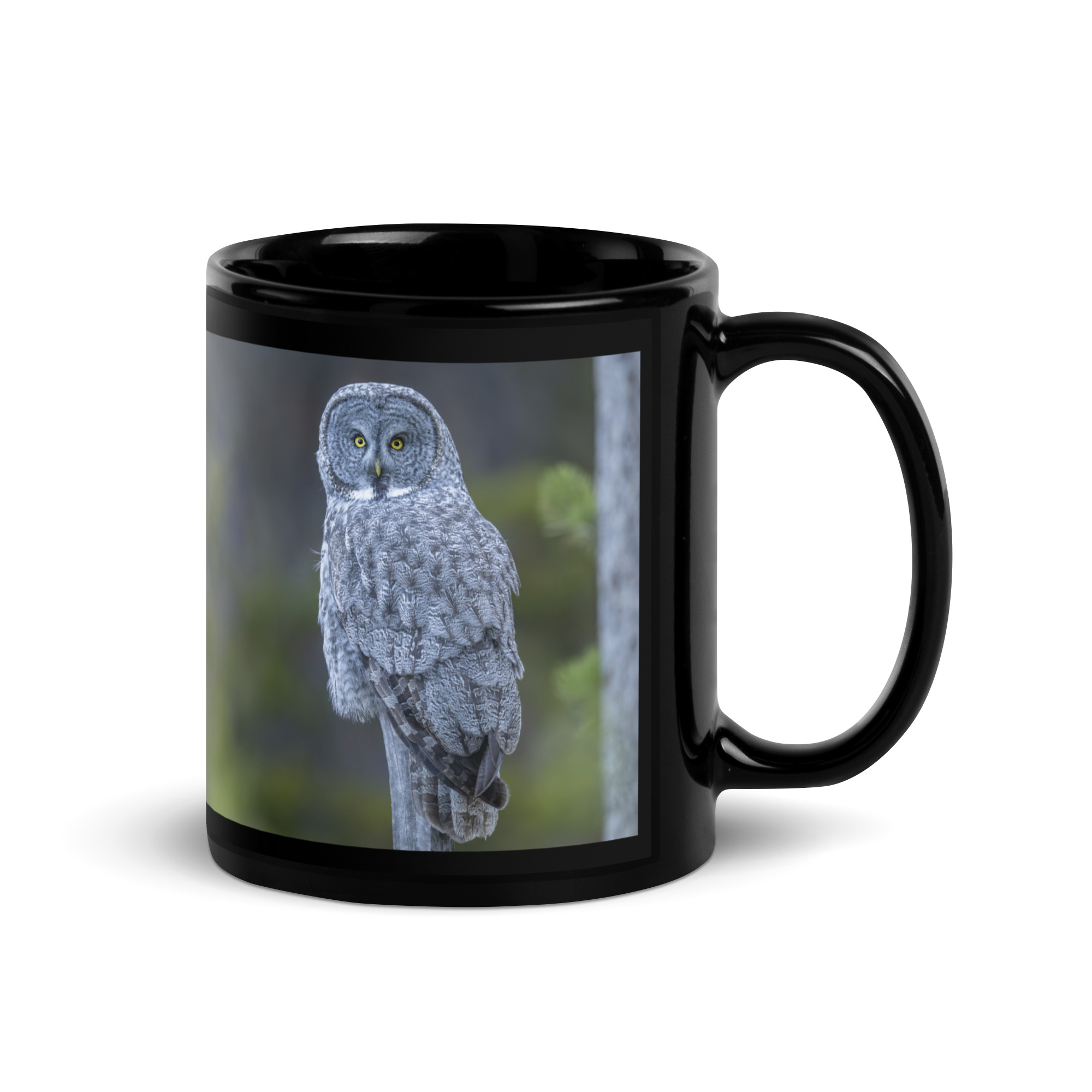 Great Grey Owl! Black Glossy Mug