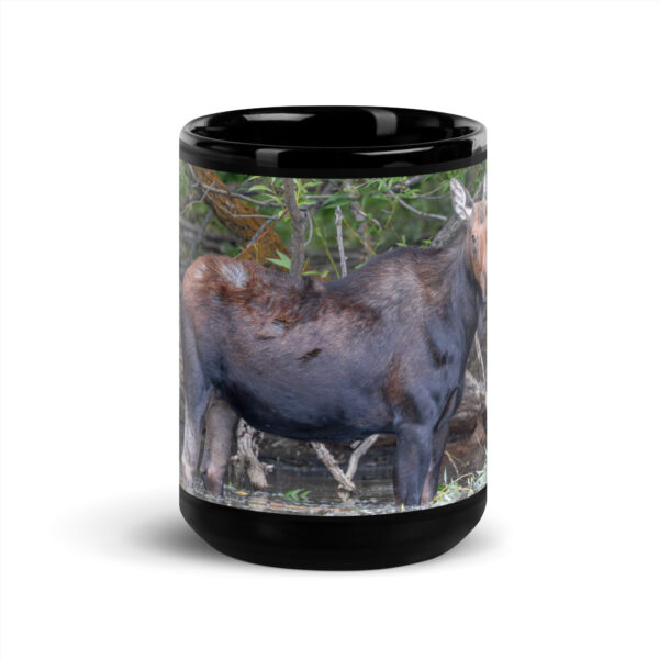 Portrait of a Mama Moose!  Black Glossy Mug - Image 6