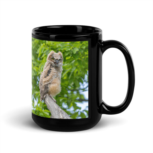 Baby Great horned owl! Black Glossy Mug - Image 5