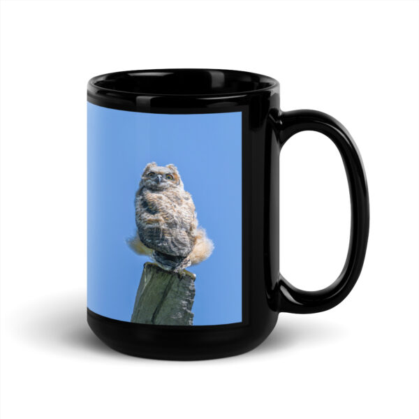 Baby Great horned owl! Black Glossy Mug - Image 5