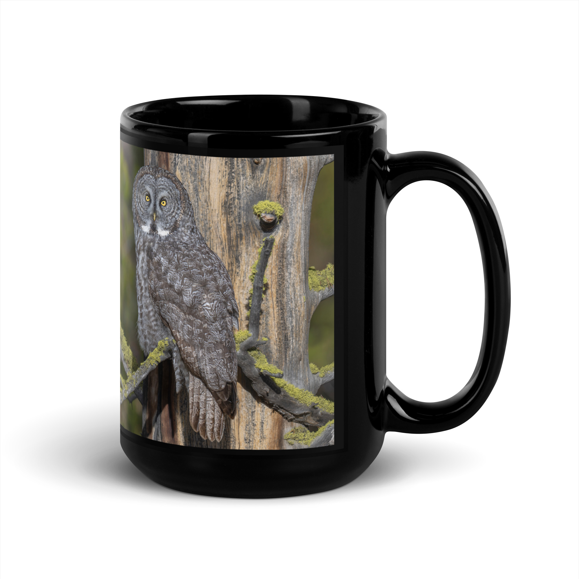Great Grey Owl Basking in the Sun! Black Glossy Mug - Image 5
