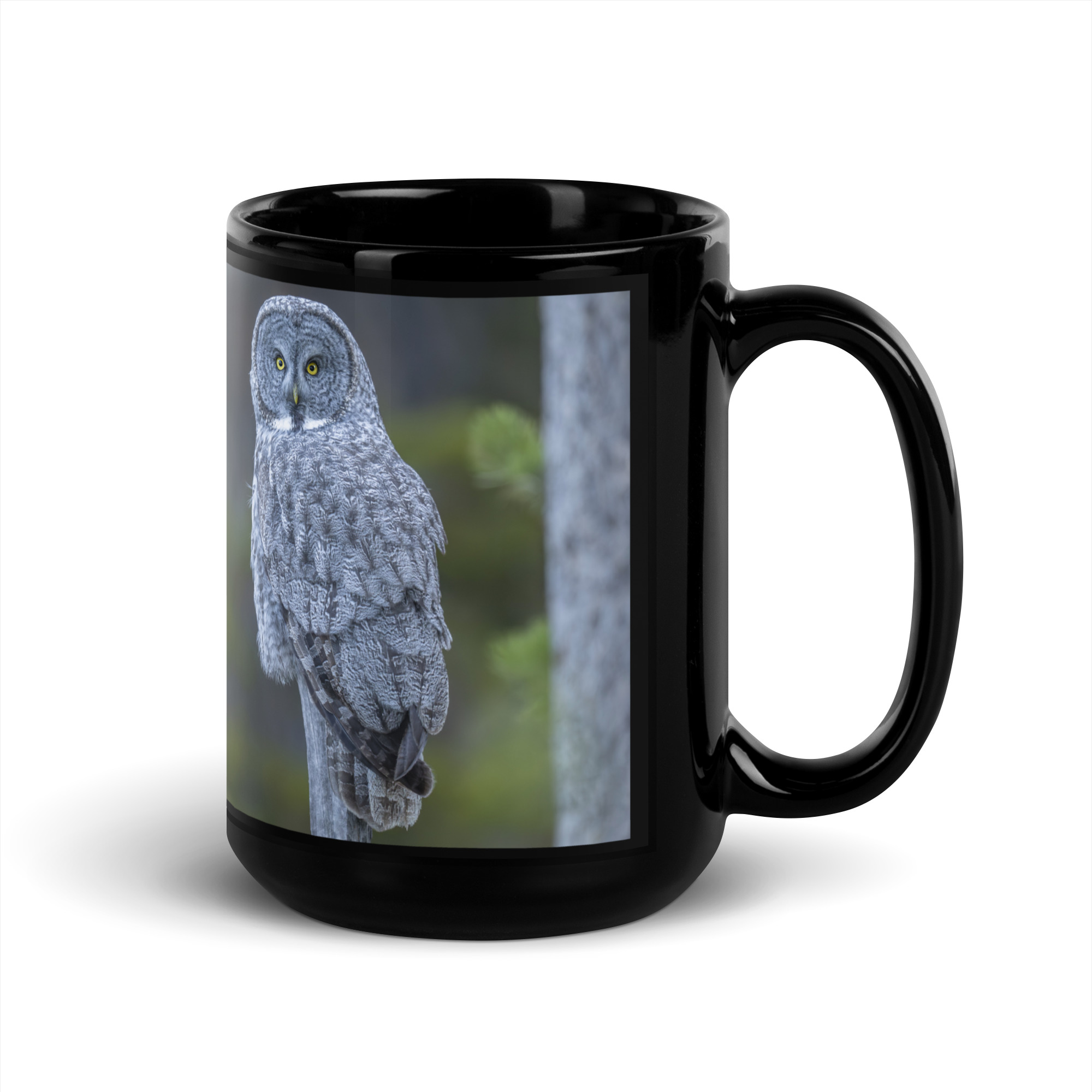 Great Grey Owl! Black Glossy Mug - Image 5