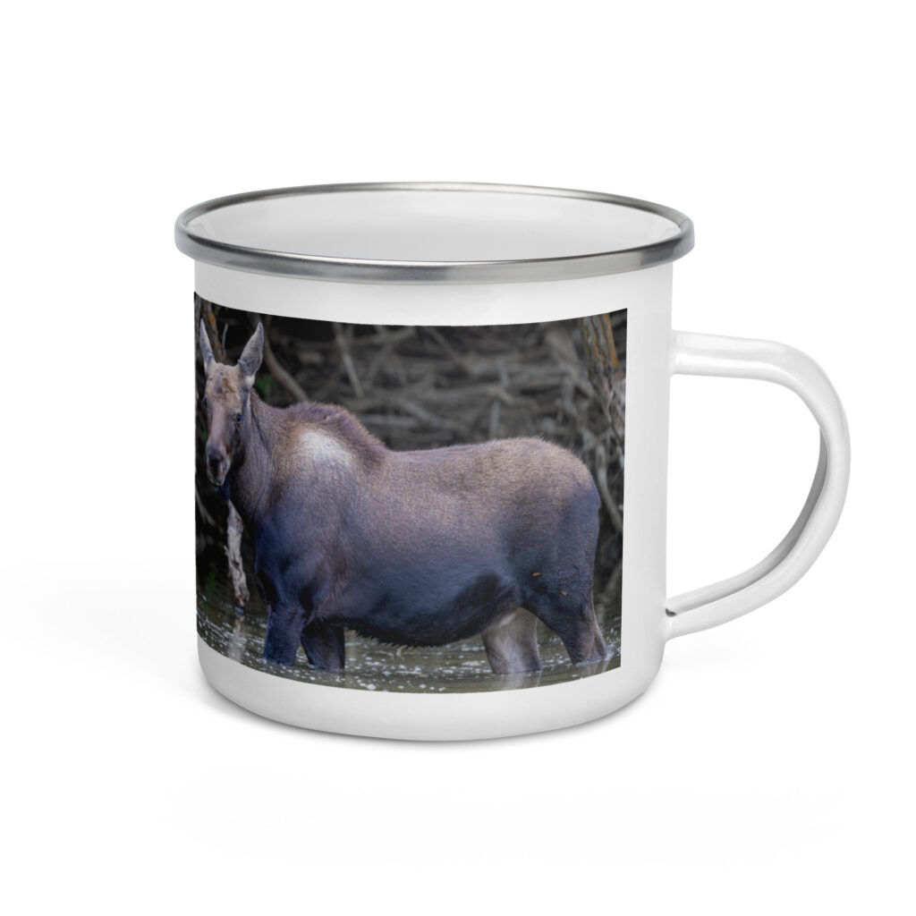 Baby Moose! Enamel Mug