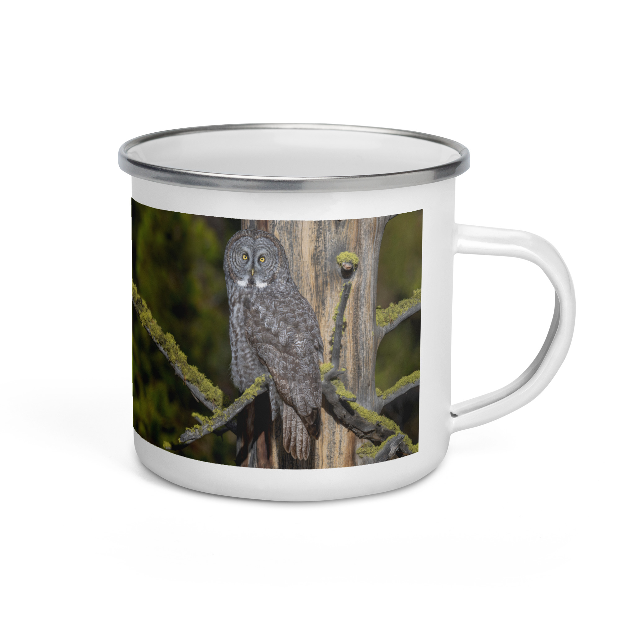 Great Grey Owl Basking in the Sun! Enamel Mug