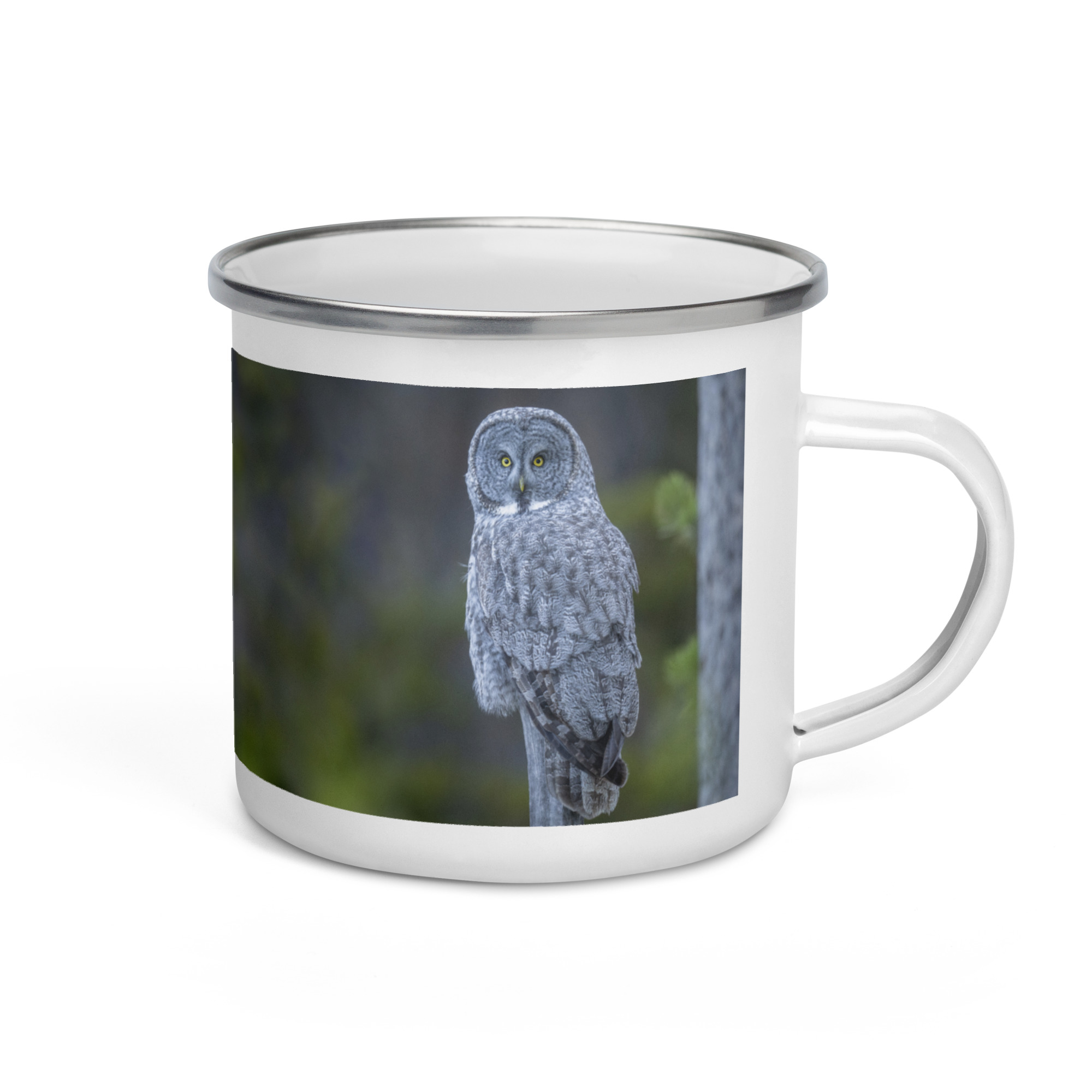 Great Grey Owl! Enamel Mug