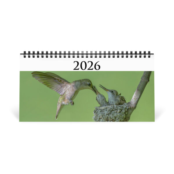 2026 Desk Calendar with high resolution images of Birds and Mammals in their natural habitat - Image 2