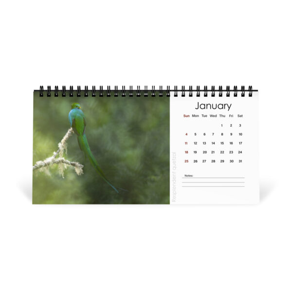 2026 Desk Calendar with high resolution images of Birds and Mammals in their natural habitat - Image 3