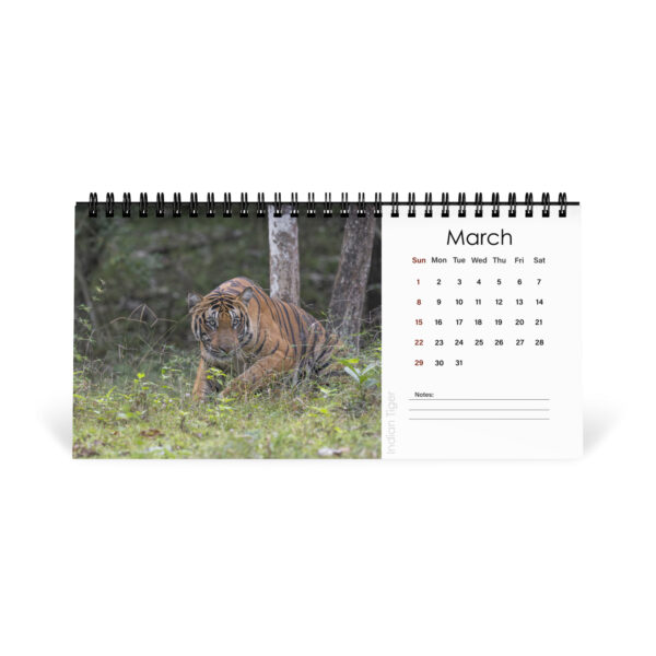 2026 Desk Calendar with high resolution images of Birds and Mammals in their natural habitat - Image 5