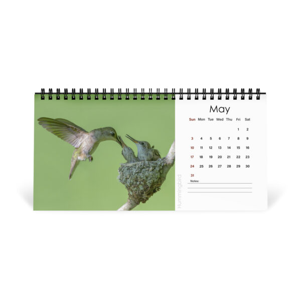 2026 Desk Calendar with high resolution images of Birds and Mammals in their natural habitat - Image 6
