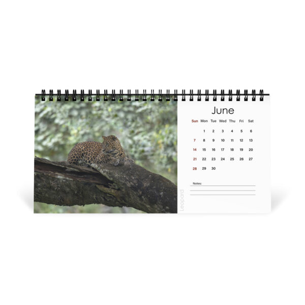 2026 Desk Calendar with high resolution images of Birds and Mammals in their natural habitat - Image 7