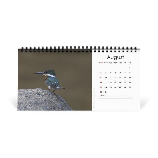 2026 Desk Calendar with high resolution images of Birds and Mammals in their natural habitat - Image 9