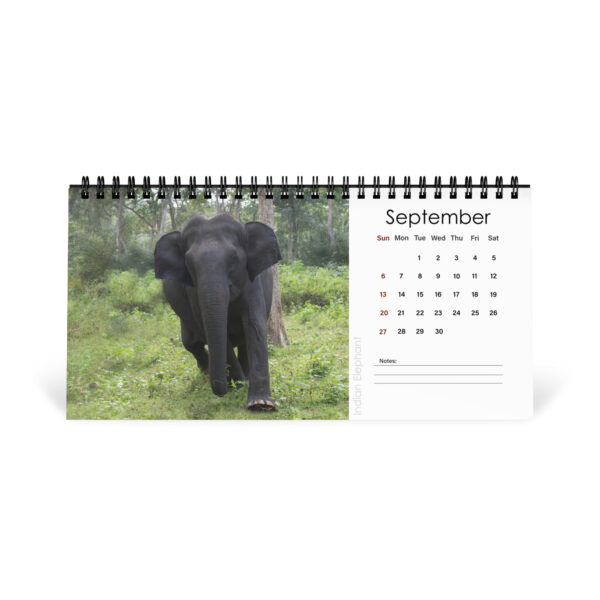 2026 Desk Calendar with high resolution images of Birds and Mammals in their natural habitat - Image 10