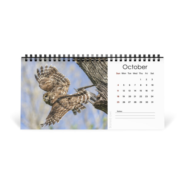 2026 Desk Calendar with high resolution images of Birds and Mammals in their natural habitat - Image 11