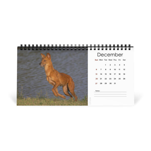 2026 Desk Calendar with high resolution images of Birds and Mammals in their natural habitat - Image 13