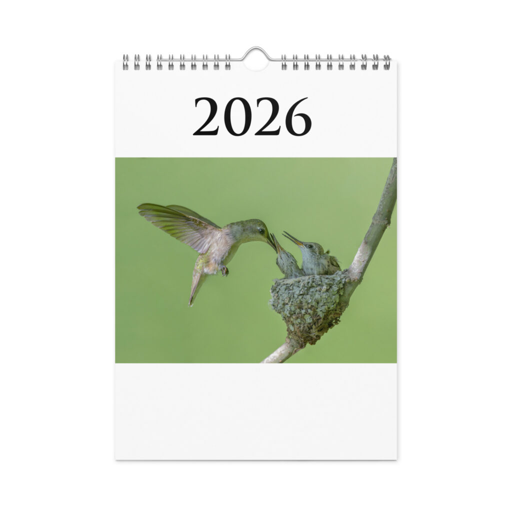 2026 Wall Calendar with high resolution images of Birds and Mammals in their natural habitat