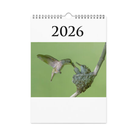 2026 Wall Calendar with high resolution images of Birds and Mammals in their natural habitat