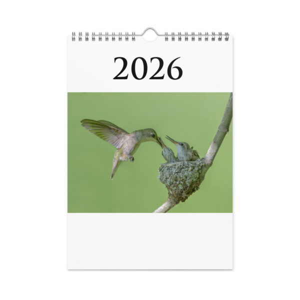 2026 Wall Calendar with high resolution images of Birds and Mammals in their natural habitat