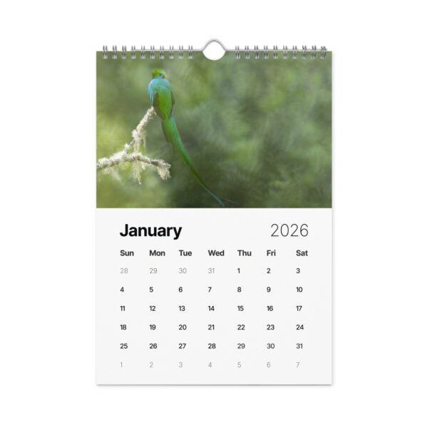 2026 Wall Calendar with high resolution images of Birds and Mammals in their natural habitat - Image 2