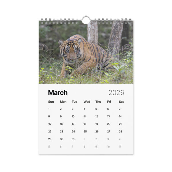 2026 Wall Calendar with high resolution images of Birds and Mammals in their natural habitat - Image 4