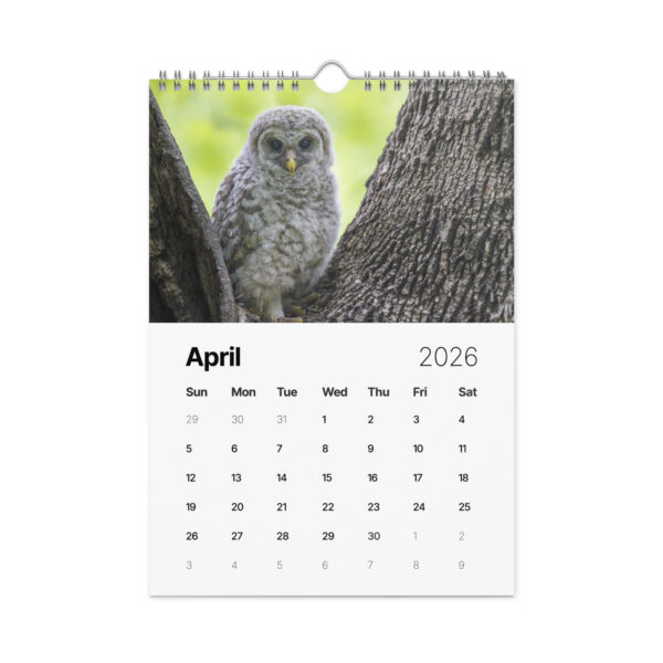2026 Wall Calendar with high resolution images of Birds and Mammals in their natural habitat - Image 5