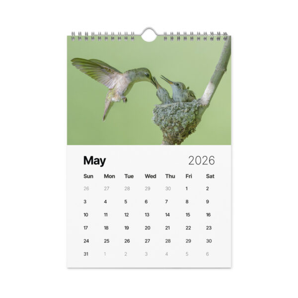 2026 Wall Calendar with high resolution images of Birds and Mammals in their natural habitat - Image 6
