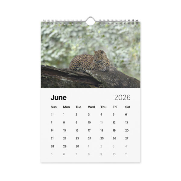 2026 Wall Calendar with high resolution images of Birds and Mammals in their natural habitat - Image 7