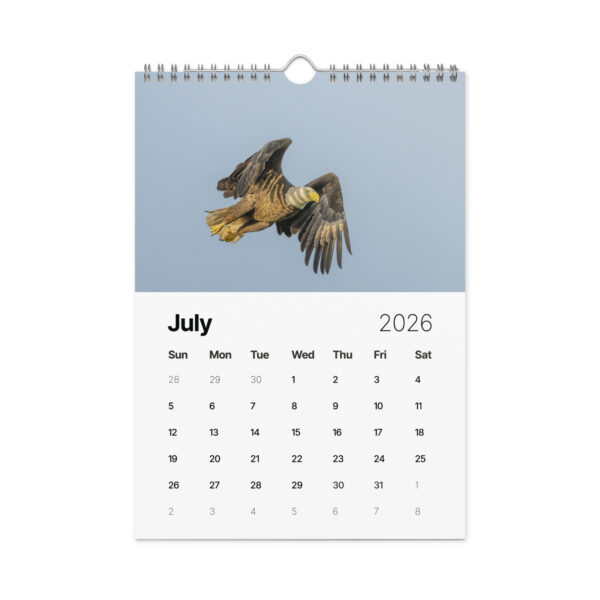 2026 Wall Calendar with high resolution images of Birds and Mammals in their natural habitat - Image 8