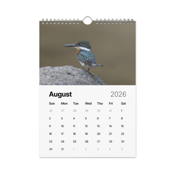 2026 Wall Calendar with high resolution images of Birds and Mammals in their natural habitat - Image 9