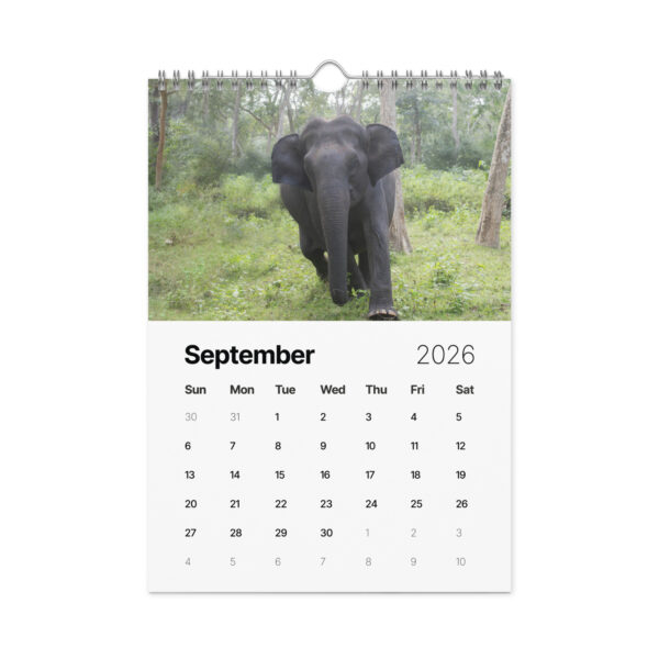 2026 Wall Calendar with high resolution images of Birds and Mammals in their natural habitat - Image 10