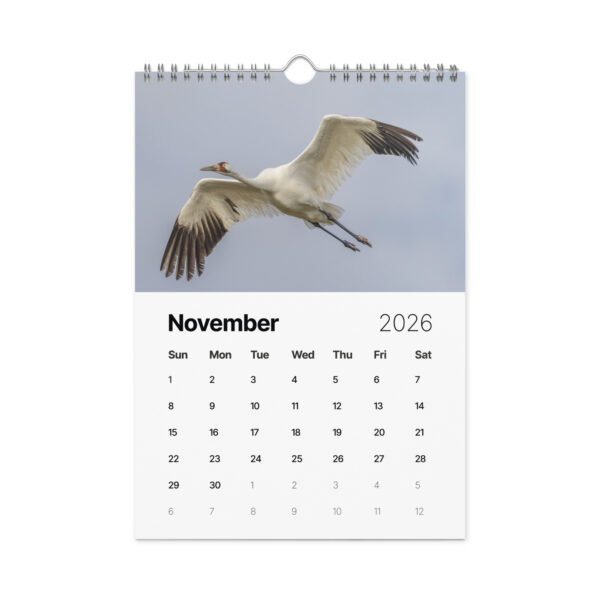 2026 Wall Calendar with high resolution images of Birds and Mammals in their natural habitat - Image 12