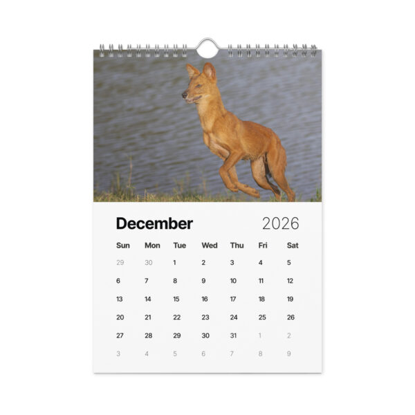 2026 Wall Calendar with high resolution images of Birds and Mammals in their natural habitat - Image 13