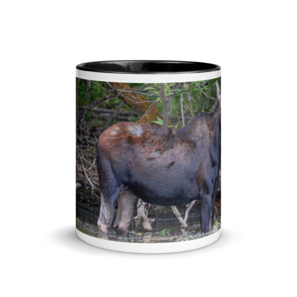 Portrait of a Mama Moose! Mug with Color Inside - Image 3