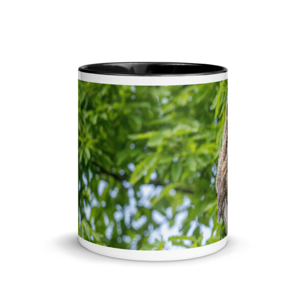 Baby Great horned owl! Mug with Color Inside - Image 3