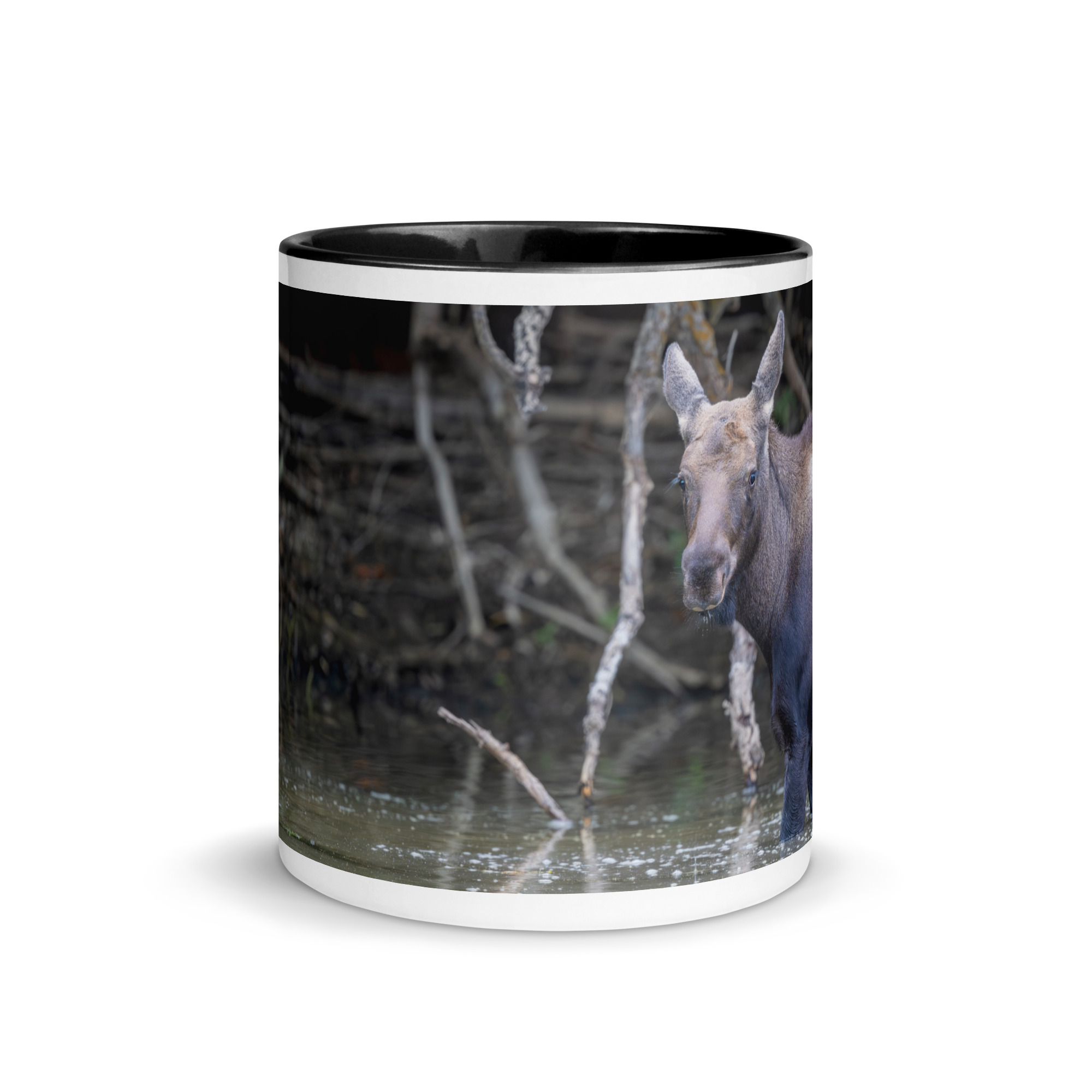 Baby Moose! Mug with Color Inside - Image 3