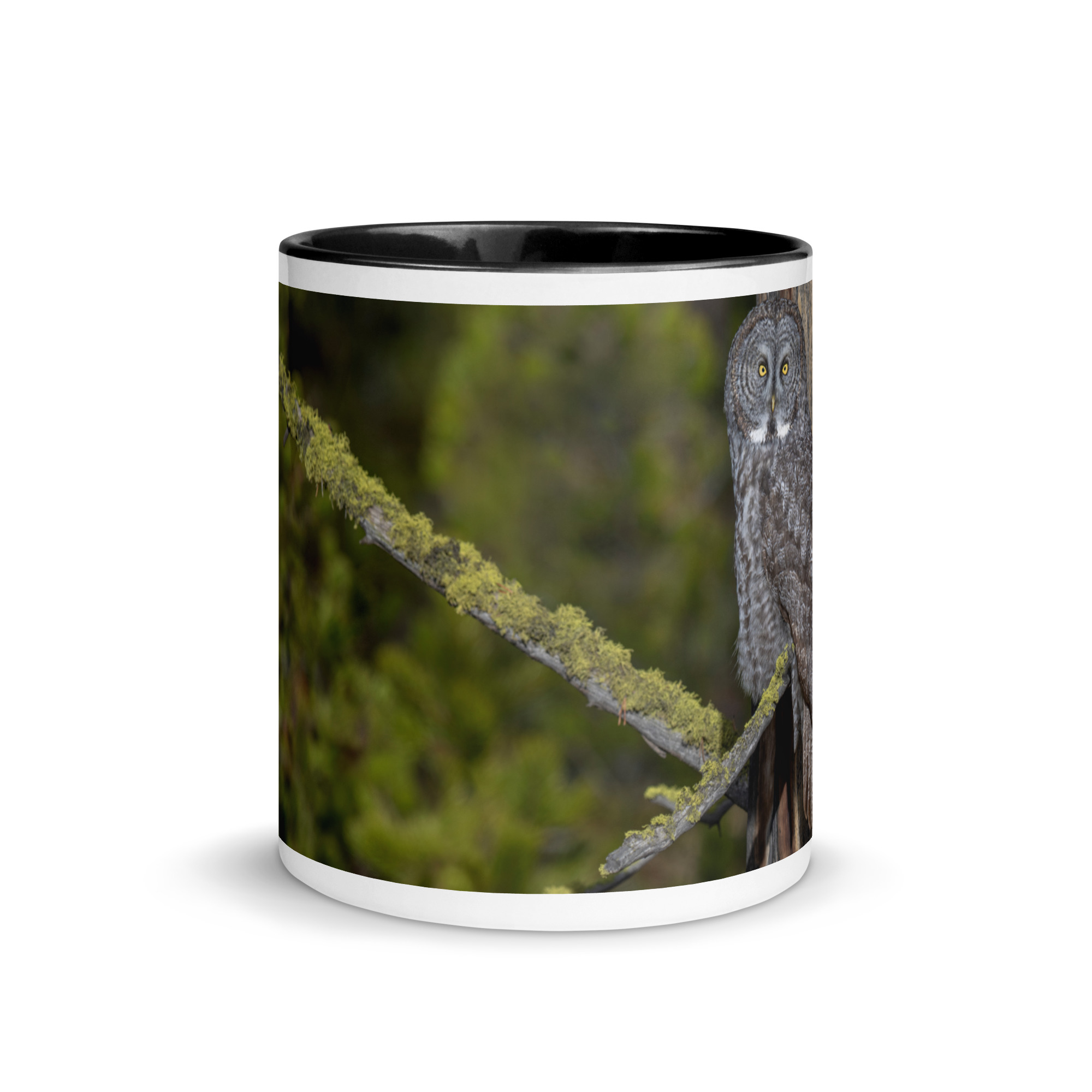 Great Grey Owl Basking in the Sun! Mug with Color Inside - Image 3