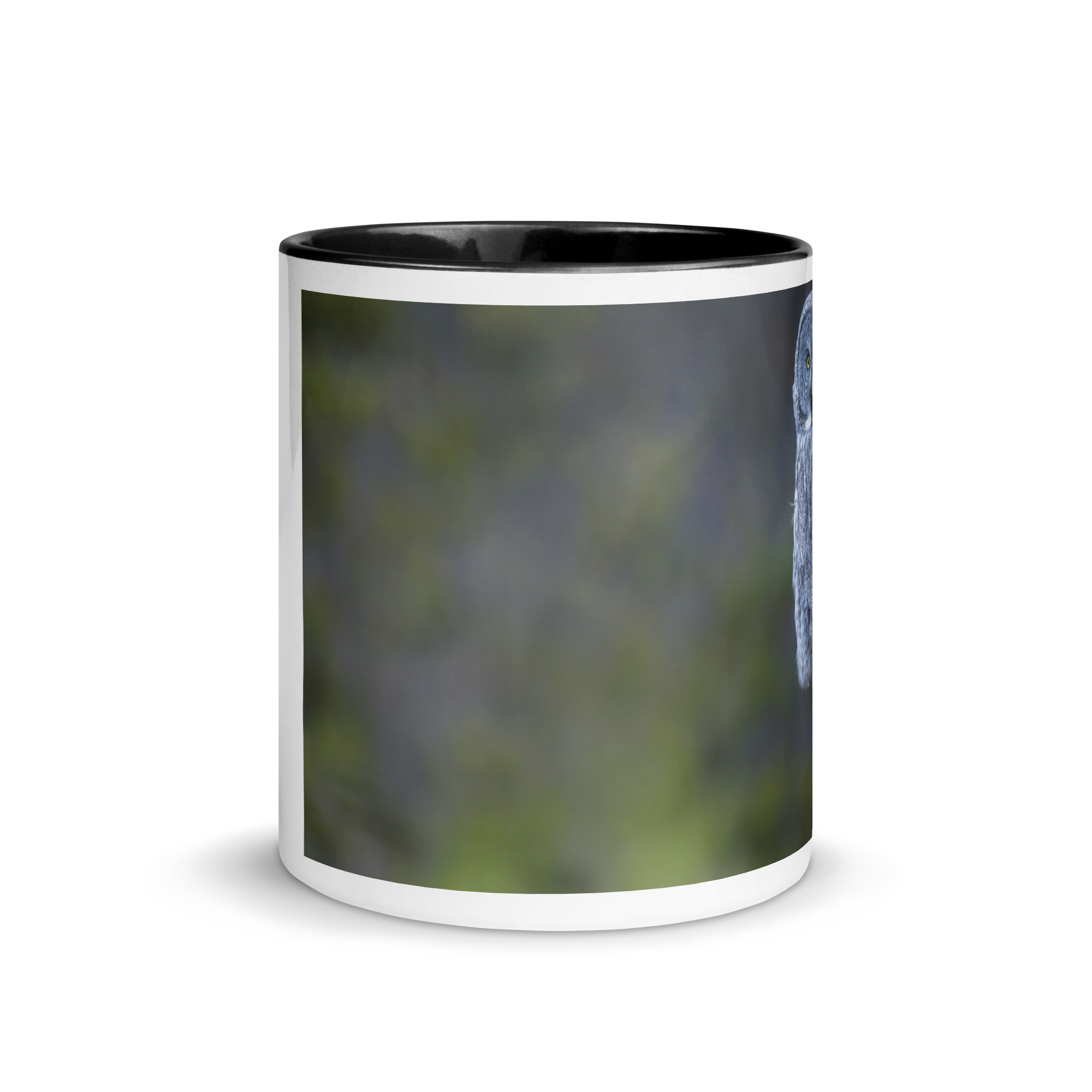 Great Grey Owl! Mug with Color Inside - Image 3