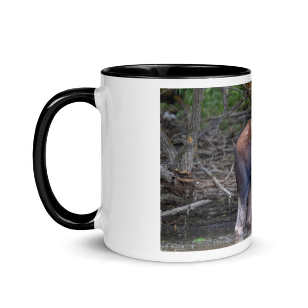Portrait of a Mama Moose! Mug with Color Inside - Image 4