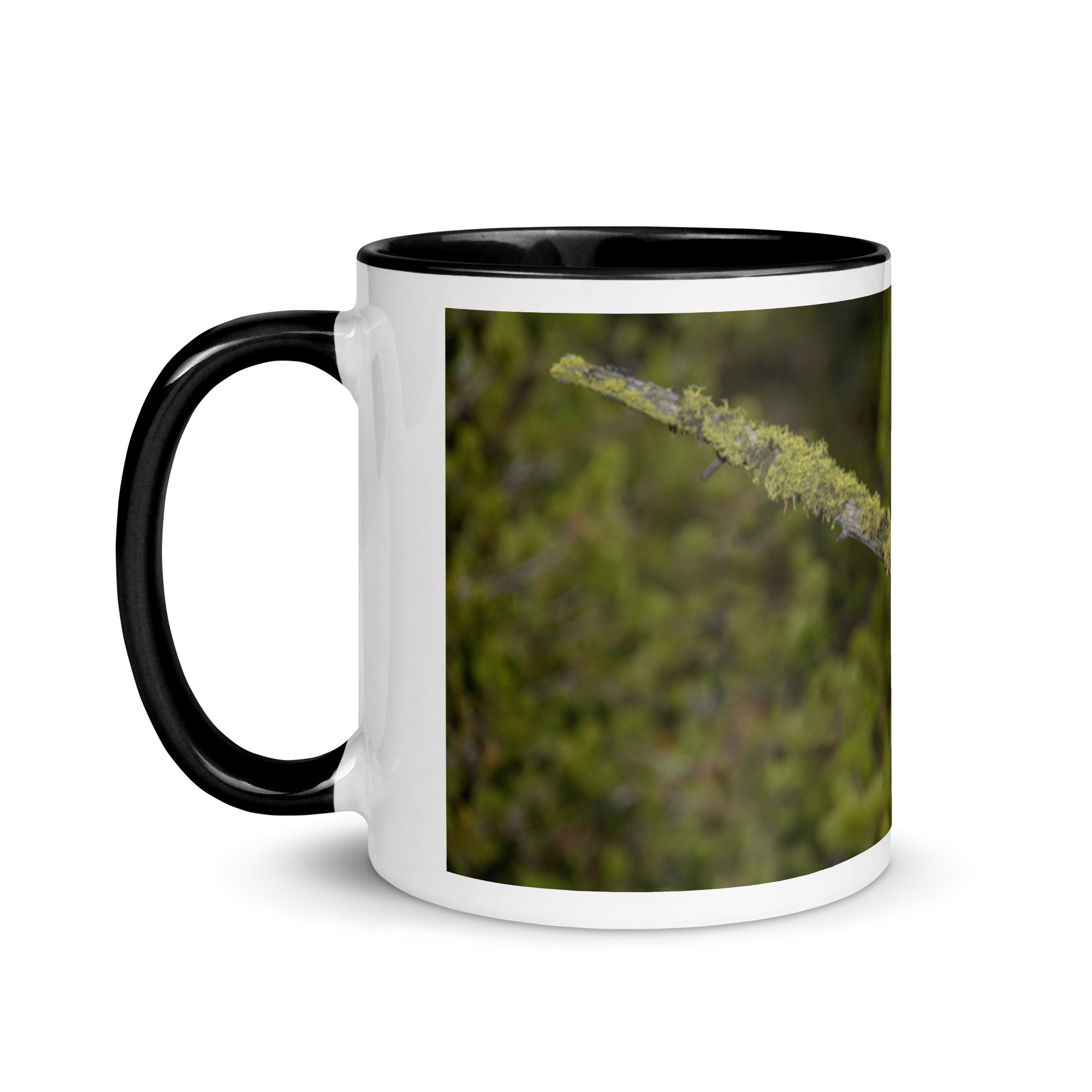 Great Grey Owl Basking in the Sun! Mug with Color Inside - Image 4
