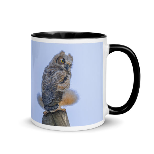 Baby Great Horned Owl! Mug with Color Inside - Image 2