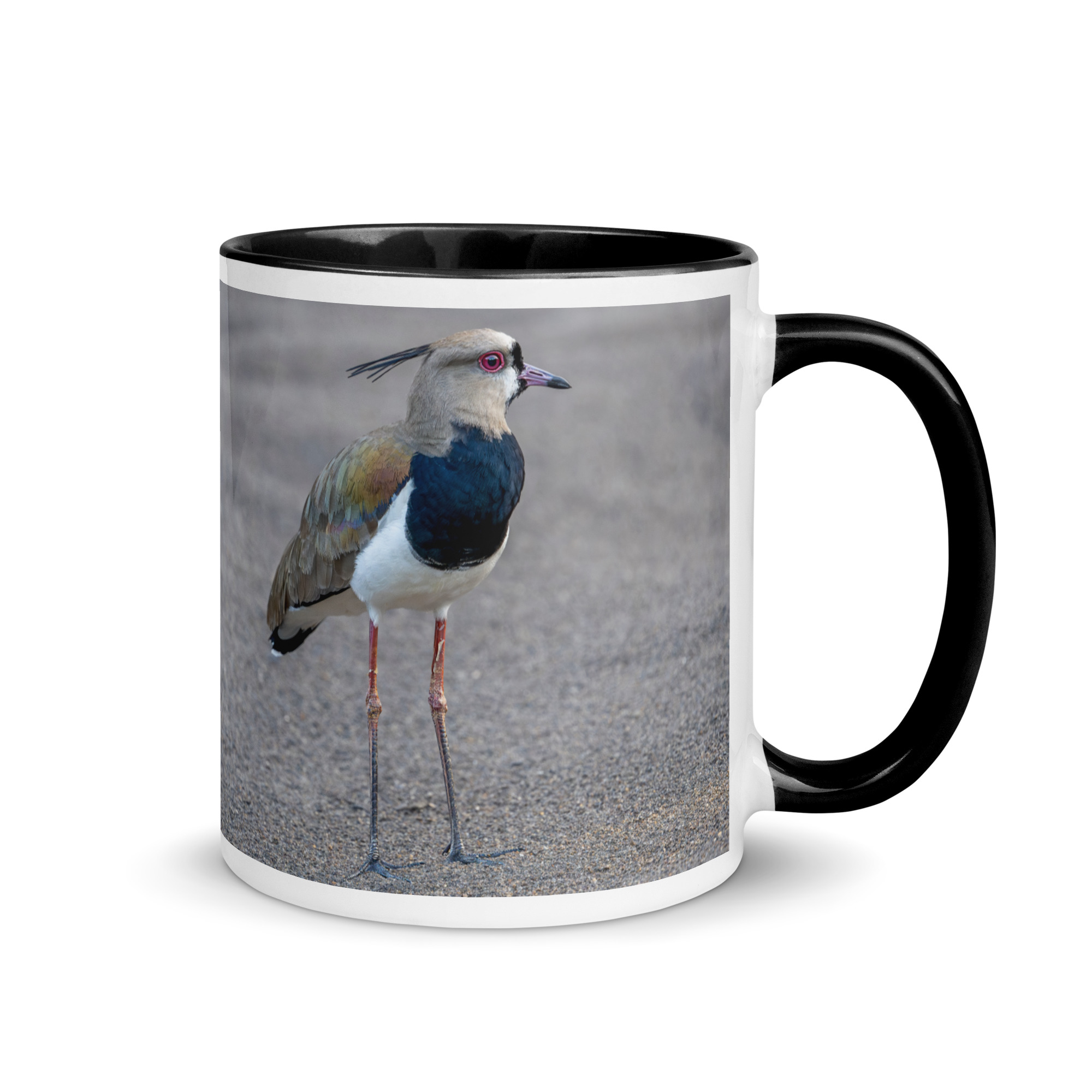 Southern lapwing! Mug with Color Inside - Image 2