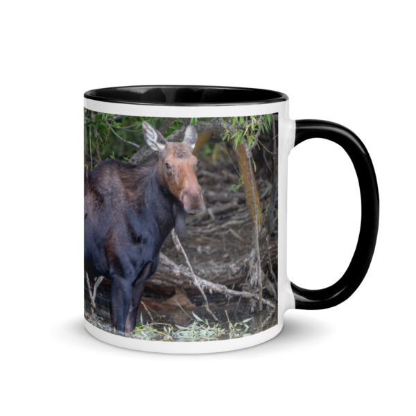 Portrait of a Mama Moose! Mug with Color Inside - Image 2