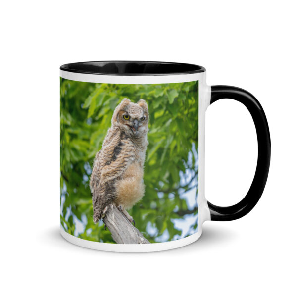 Baby Great horned owl! Mug with Color Inside - Image 2