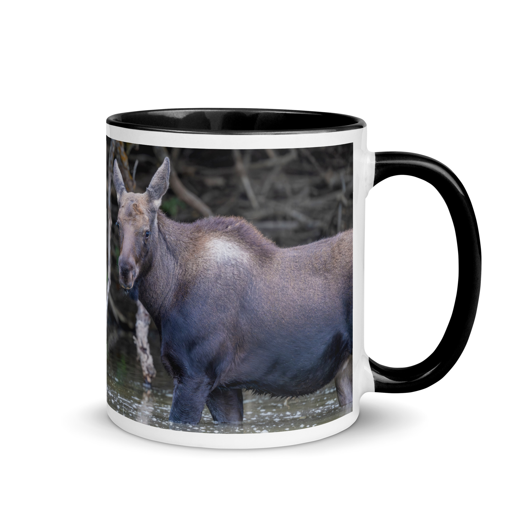 Baby Moose! Mug with Color Inside - Image 2