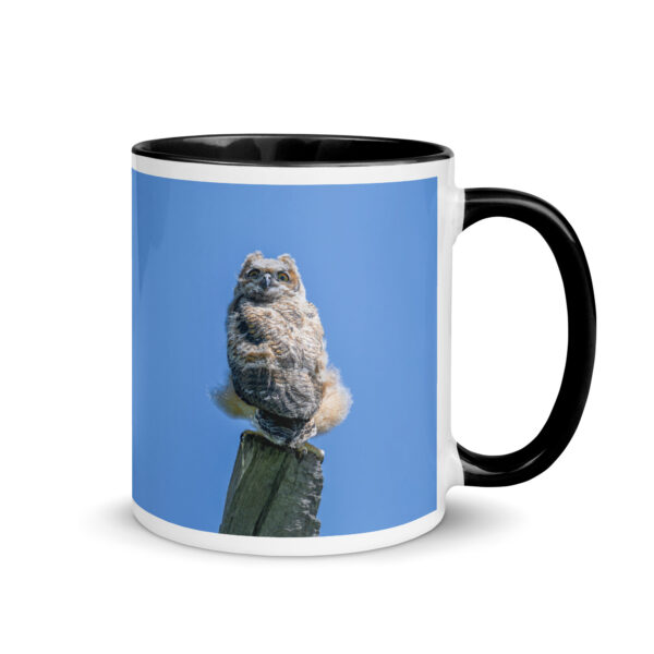 Baby Great horned owl!  Mug with Color Inside - Image 2