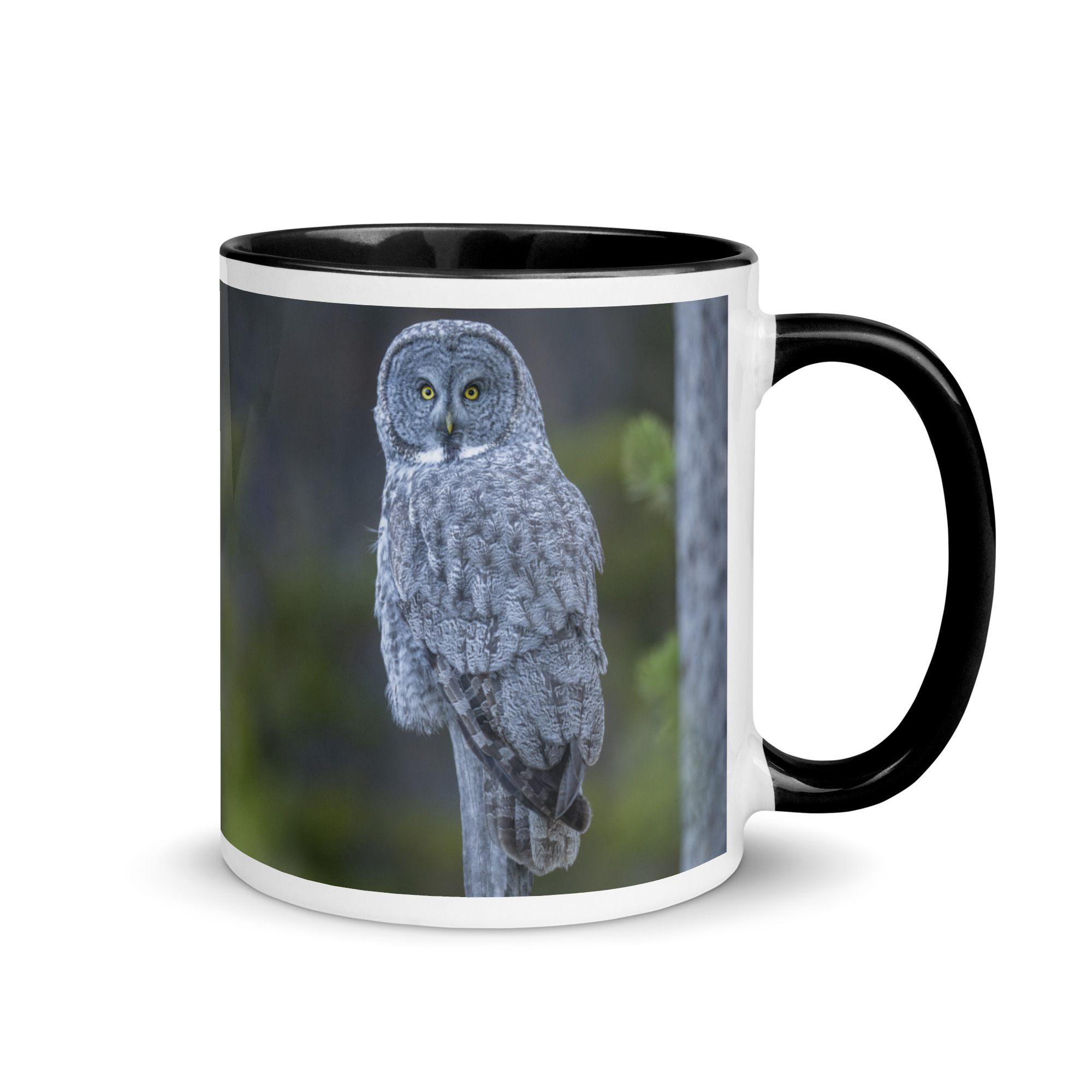 Great Grey Owl! Mug with Color Inside - Image 2