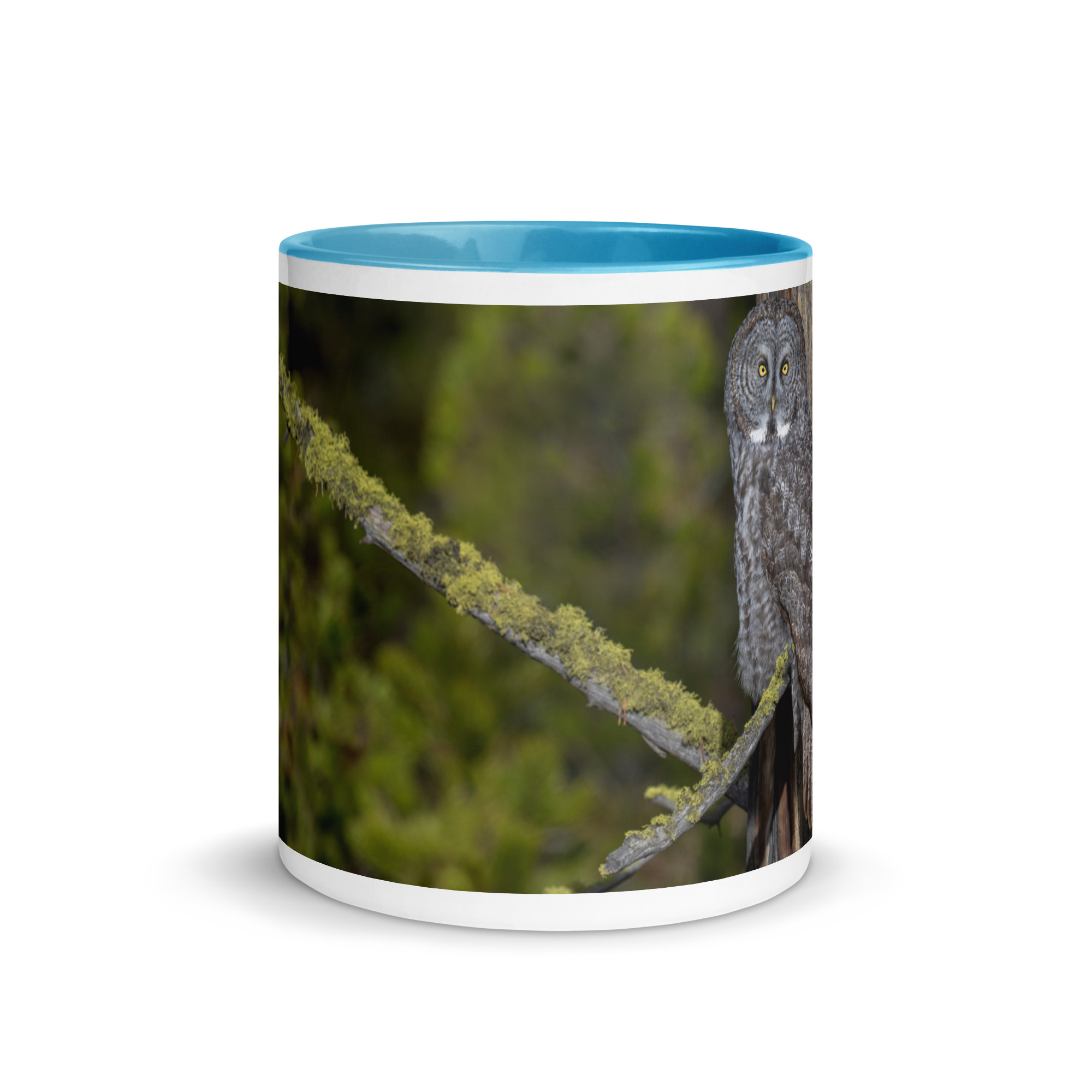 Great Grey Owl Basking in the Sun! Mug with Color Inside - Image 17
