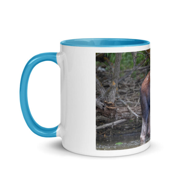Portrait of a Mama Moose! Mug with Color Inside - Image 18