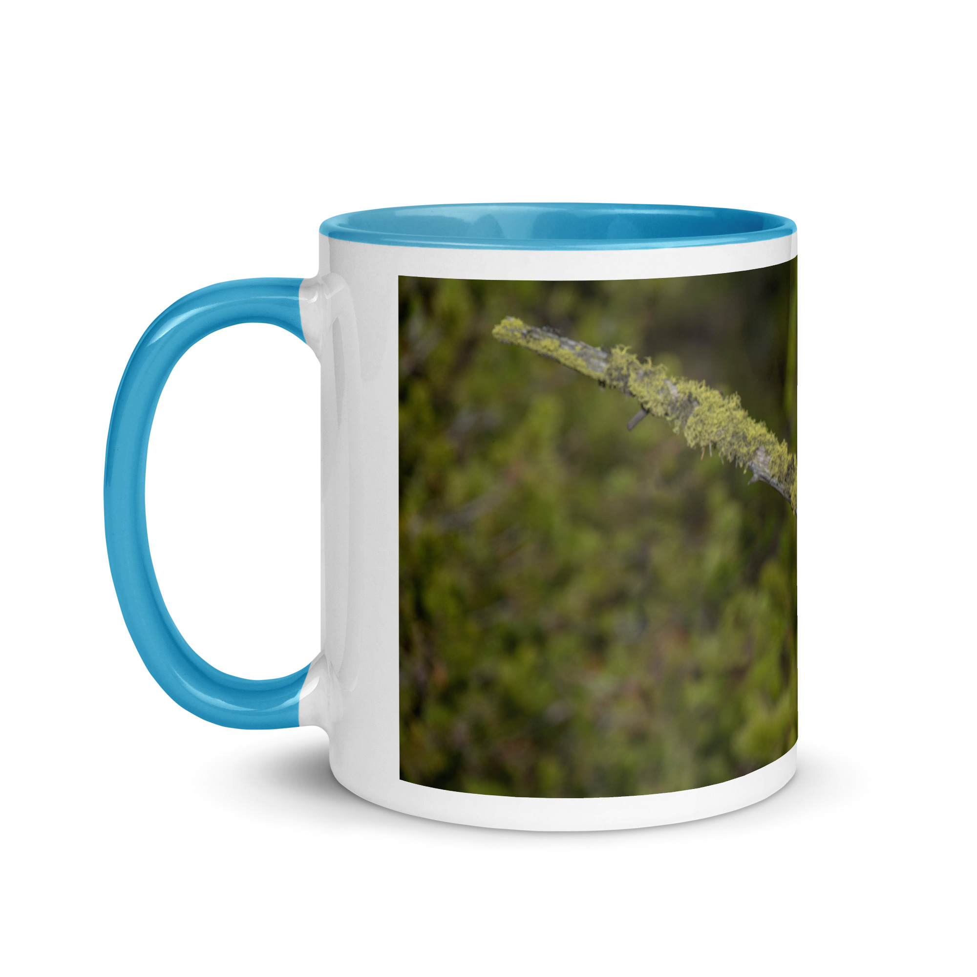 Great Grey Owl Basking in the Sun! Mug with Color Inside - Image 18