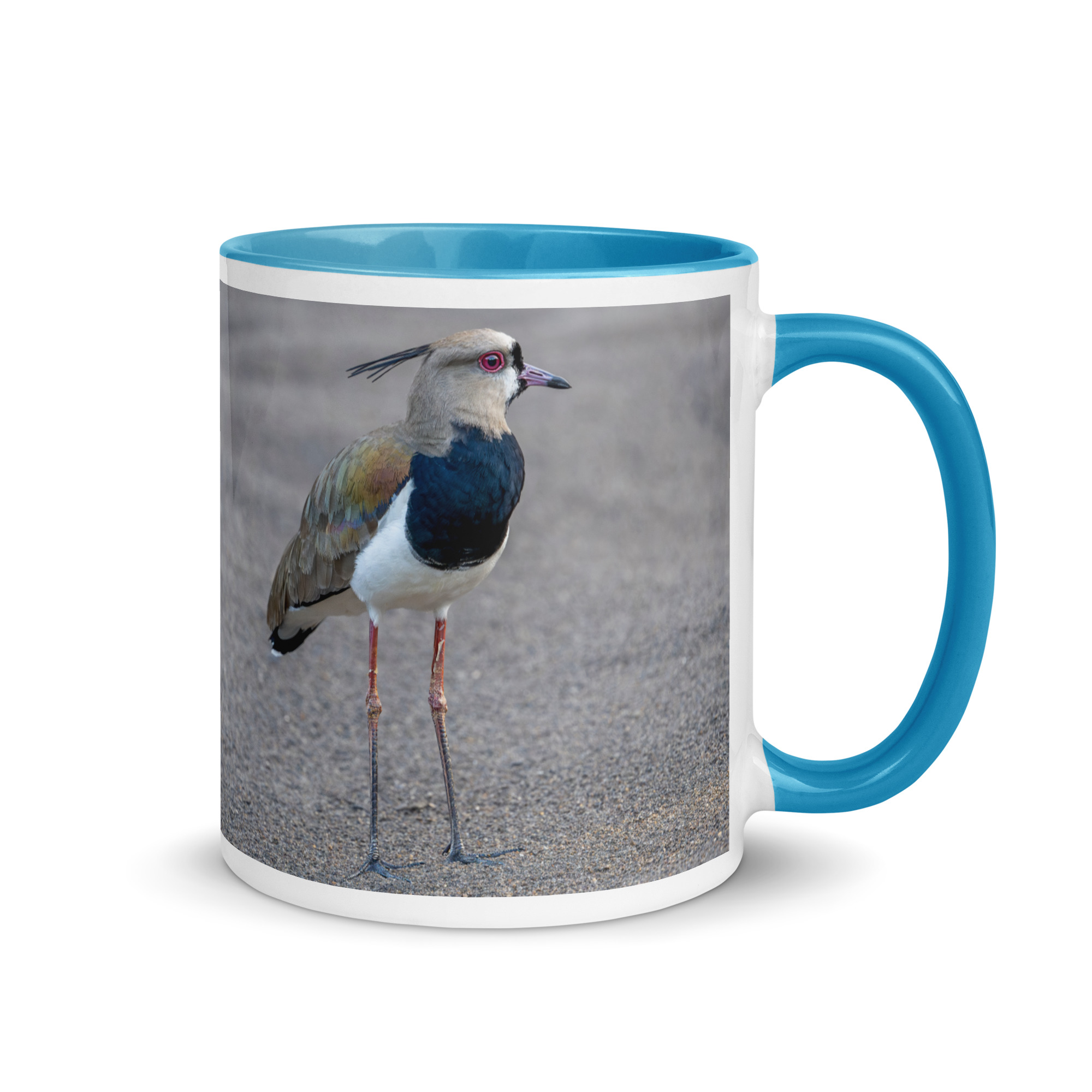 Southern lapwing! Mug with Color Inside - Image 16